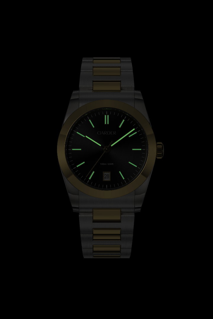 James Safira 10ATM Watch - Gold and Black